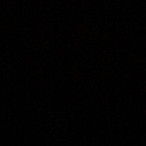 Meet your Posher, Zach